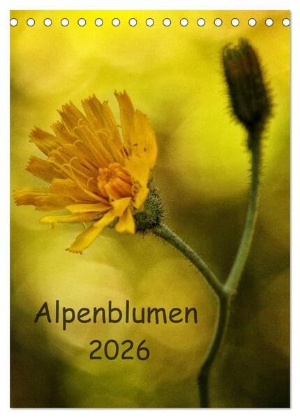 Alpenblumen 2026 (Tischkalender 2026 DIN A5 hoch), CALVENDO Monatskalender: Alpenblumen,eine kleine Reise in die Welt der Alpenflora. (CALVENDO Natur) Photography