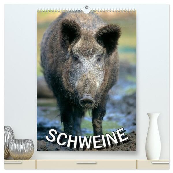 Schweine 2026 (hochwertiger Premium Wandkalender 2026 DIN A2 hoch), Kunstdruck in Hochglanz: Monatsplaner 14 Seiten (CALVENDO Tiere) Natural Sciences