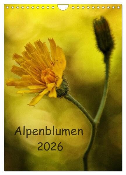 Alpenblumen 2026 (Wandkalender 2026 DIN A4 hoch), CALVENDO Monatskalender: Alpenblumen,eine kleine Reise in die Welt der Alpenflora. (CALVENDO Natur) Photography