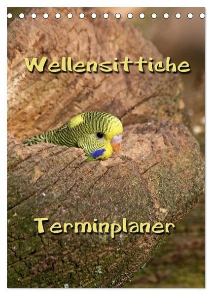 Wellensittiche Terminplaner (Tischkalender 2026 DIN A5 hoch), CALVENDO Monatskalender: Muntere und freche Vögel (CALVENDO Tiere) Natural Sciences