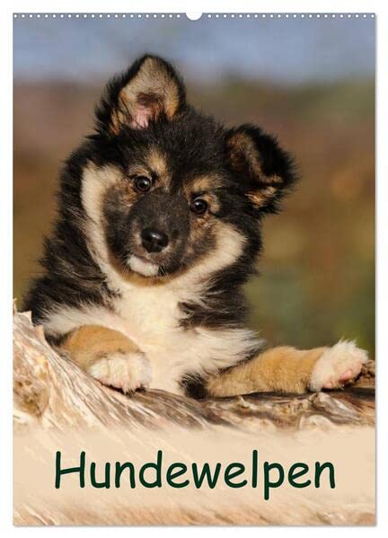 Hundewelpen (Wandkalender 2026 DIN A2 hoch), CALVENDO Monatskalender: Niedliche Welpen zum Liebhaben (CALVENDO Tiere) Living & Furnishing
