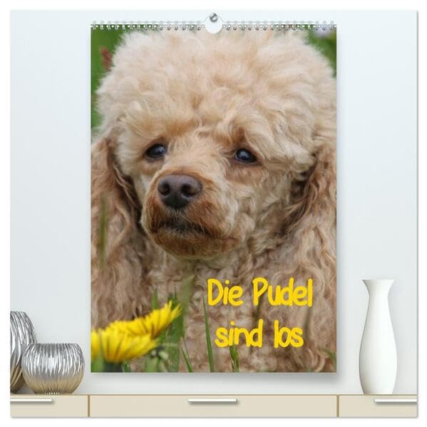 Die Pudel sind los (hochwertiger Premium Wandkalender 2026 DIN A2 hoch), Kunstdruck in Hochglanz: Pudel in allen Lebenslagen (CALVENDO Tiere) Natural Sciences