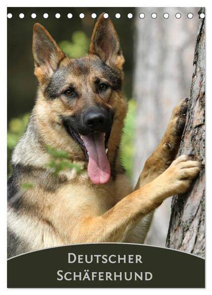 Deutscher Schäferhund (Tischkalender 2026 DIN A5 hoch), CALVENDO Monatskalender: Monatskalender mit wunderschönen Farbfotos des Deutschen Schäferhundes (CALVENDO Tiere) Pets