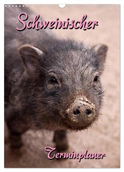 Schweinischer Terminplaner (Wandkalender 2026 DIN A3 hoch), CALVENDO Monatskalender: Terminplaner mit kleinen und großen Schweinen (CALVENDO Tiere) Natural Sciences