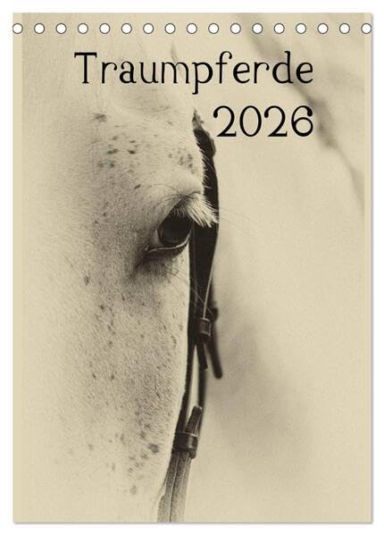 Traumpferde 2026 (Tischkalender 2026 DIN A5 hoch), CALVENDO Monatskalender: Pferdekalender stilistisch bearbeitet (CALVENDO Tiere) Photography