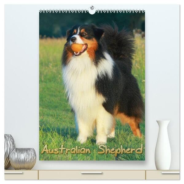Australian Shepherd (hochwertiger Premium Wandkalender 2026 DIN A2 hoch), Kunstdruck in Hochglanz: Schöne Aufnahmen aus dem Leben von Australian Shepherd (CALVENDO Tiere) Living & Furnishing