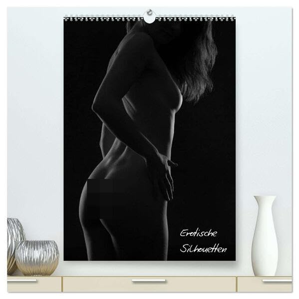 Erotische Silhouetten / CH-Version (hochwertiger Premium Wandkalender 2026 DIN A2 hoch), Kunstdruck in Hochglanz: Das Spiel mit Licht und Schatten (CALVENDO Erotik) Calendars