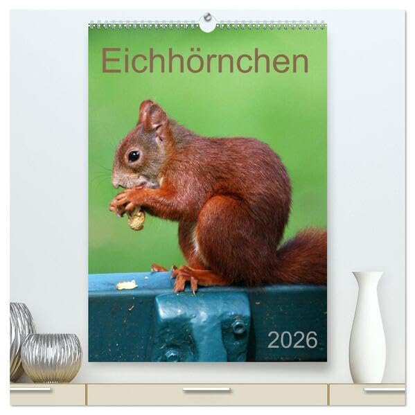 Eichhörnchen (hochwertiger Premium Wandkalender 2026 DIN A2 hoch), Kunstdruck in Hochglanz: Nussknacker (CALVENDO Tiere) Living & Furnishing
