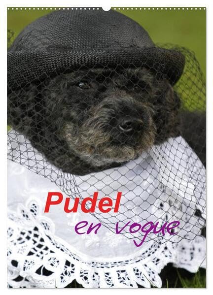 Pudel en vogue (Wandkalender 2026 DIN A2 hoch), CALVENDO Monatskalender: Zwei süße Pudel als Models (CALVENDO Spass) Natural Sciences