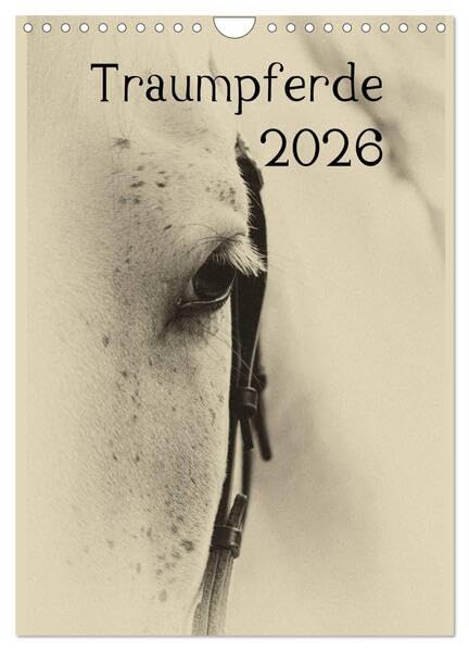 Traumpferde 2026 (Wandkalender 2026 DIN A4 hoch), CALVENDO Monatskalender: Pferdekalender stilistisch bearbeitet (CALVENDO Tiere) Photography