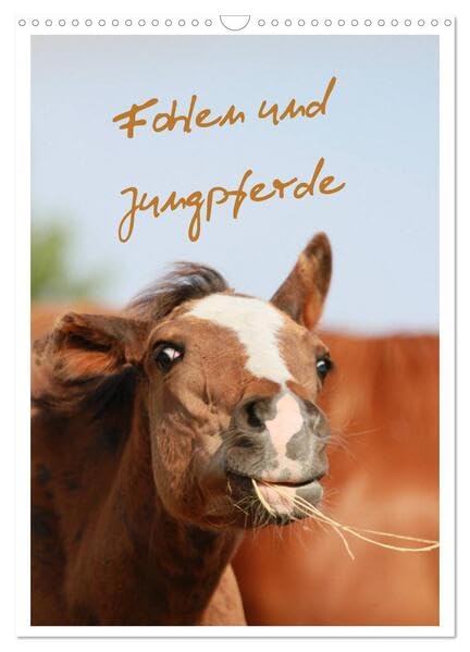 Fohlen und Jungpferde (Wandkalender 2026 DIN A3 hoch), CALVENDO Monatskalender: Familienplaner mit lustigen Fohlenfotos (CALVENDO Tiere) Living & Furnishing