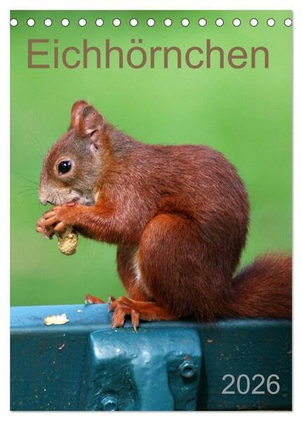 Eichhörnchen (Tischkalender 2026 DIN A5 hoch), CALVENDO Monatskalender: Nussknacker (CALVENDO Tiere) Living & Furnishing