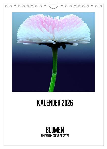 BLUMEN EINFACH IN SZENE GESETZT (Wandkalender 2026 DIN A4 hoch), CALVENDO Monatskalender: Das ganze Jahr in frische Blumen verpackt. (CALVENDO Natur) Leisure, Home & Garden