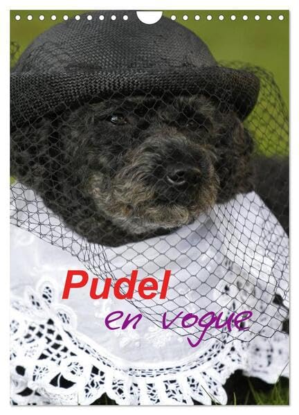 Pudel en vogue (Wandkalender 2026 DIN A4 hoch), CALVENDO Monatskalender: Zwei süße Pudel als Models (CALVENDO Spass) Natural Sciences