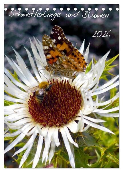 Schmetterlilnge und Blumen (Tischkalender 2026 DIN A5 hoch), CALVENDO Monatskalender: Unsere heimischen Schmetterlinge (CALVENDO Natur) Natural Sciences