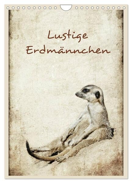 Lustige Erdmännchen (Wandkalender 2026 DIN A4 hoch), CALVENDO Monatskalender: Erdmännchen humorvoll präsentiert (CALVENDO Tiere) Film, Art & Culture