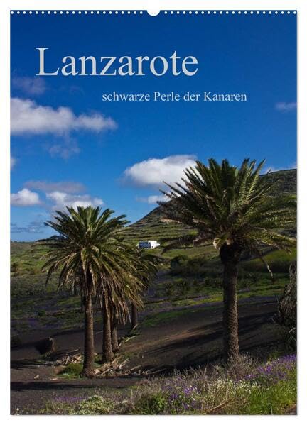 Lanzarote (Wandkalender 2026 DIN A2 hoch), CALVENDO Monatskalender: schwarze Perle der Kanaren (CALVENDO Orte) Leisure, Home & Garden