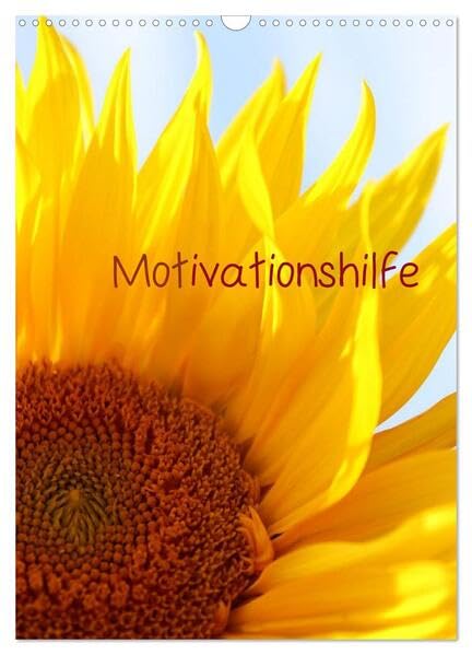 Motivationshilfe (Wandkalender 2026 DIN A3 hoch), CALVENDO Monatskalender: Ein Planer der besonderen Art (CALVENDO Wissen) Leisure, Home & Garden