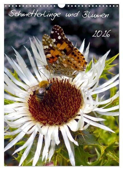 Schmetterlilnge und Blumen (Wandkalender 2026 DIN A3 hoch), CALVENDO Monatskalender: Unsere heimischen Schmetterlinge (CALVENDO Natur) Natural Sciences