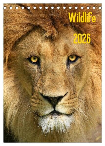 Wildlife 2026 (Tischkalender 2026 DIN A5 hoch), CALVENDO Monatskalender: Wildlife-Fotografie (CALVENDO Tiere) Natural Sciences