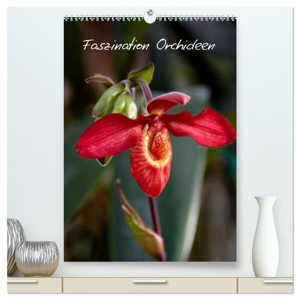 Faszination Orchideen (hochwertiger Premium Wandkalender 2026 DIN A2 hoch), Kunstdruck in Hochglanz: Der Kalender für den Orchideen-Liebhaber (CALVENDO Natur) Leisure, Home & Garden