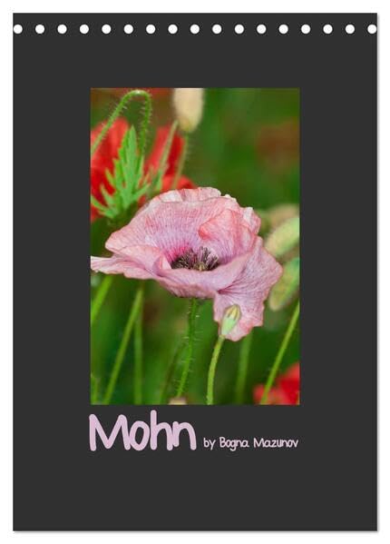 Mohn (Tischkalender 2026 DIN A5 hoch), CALVENDO Monatskalender: Klassischer Mohn in vielen Auftritten (CALVENDO Natur) Photography