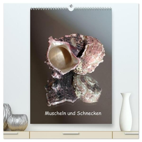 Muscheln und Schnecken (hochwertiger Premium Wandkalender 2026 DIN A2 hoch), Kunstdruck in Hochglanz: Muscheln und Schneckenhäuser "gespiegelt" in Szene gesetzt. (CALVENDO Natur) Leisure, Home & Garden