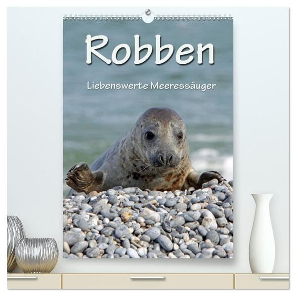 Robben (hochwertiger Premium Wandkalender 2026 DIN A2 hoch), Kunstdruck in Hochglanz: Liebenswerte Meeressäuger (CALVENDO Glaube) Natural Sciences