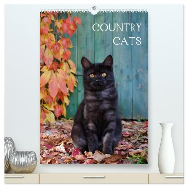 COUNTRY CATS (hochwertiger Premium Wandkalender 2026 DIN A2 hoch), Kunstdruck in Hochglanz: Bezaubernde Katzen fotografiert auf dem Land und in Bauerngärten. (CALVENDO Tiere) Garden & Plants