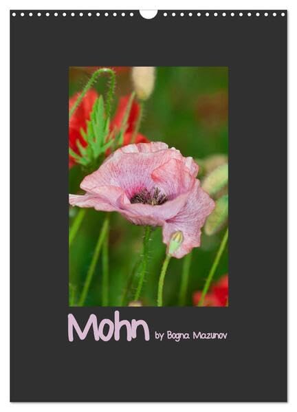 Mohn (Wandkalender 2026 DIN A3 hoch), CALVENDO Monatskalender: Klassischer Mohn in vielen Auftritten (CALVENDO Natur) Photography