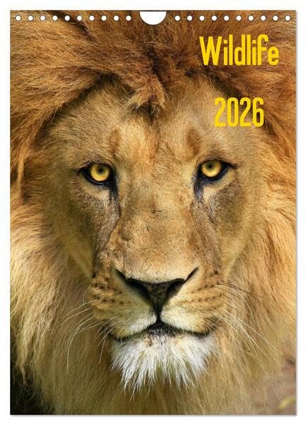Wildlife 2026 (Wandkalender 2026 DIN A4 hoch), CALVENDO Monatskalender: Wildlife-Fotografie (CALVENDO Tiere) Natural Sciences
