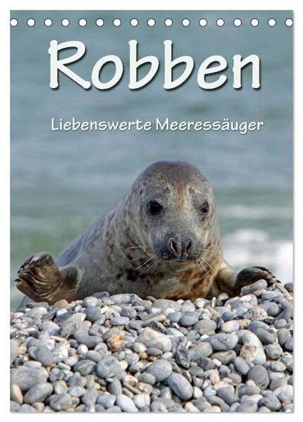 Robben (Tischkalender 2026 DIN A5 hoch), CALVENDO Monatskalender: Liebenswerte Meeressäuger (CALVENDO Glaube) Natural Sciences