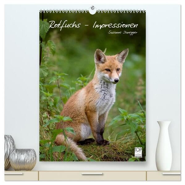 Rotfuchs - Impressionen (hochwertiger Premium Wandkalender 2026 DIN A2 hoch), Kunstdruck in Hochglanz: Bilder aus dem Leben der Füchse. (CALVENDO Tiere) Film, Art & Culture