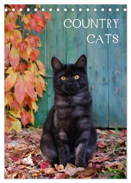 COUNTRY CATS (Tischkalender 2026 DIN A5 hoch), CALVENDO Monatskalender: Bezaubernde Katzen fotografiert auf dem Land und in Bauerngärten. (CALVENDO Tiere) Garden & Plants