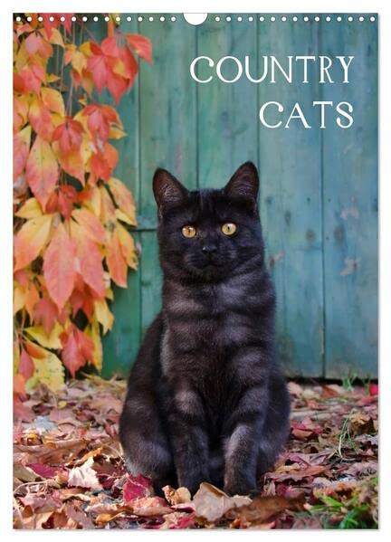 COUNTRY CATS (Wandkalender 2026 DIN A3 hoch), CALVENDO Monatskalender: Bezaubernde Katzen fotografiert auf dem Land und in Bauerngärten. (CALVENDO Tiere) Garden & Plants