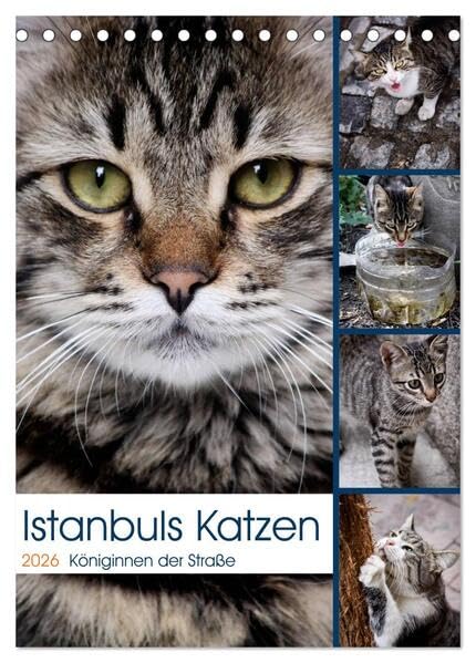 Istanbuls Katzen (Tischkalender 2026 DIN A5 hoch), CALVENDO Monatskalender: Katzenportraits aufgenommen in Istanbul. (CALVENDO Tiere) Natural Sciences