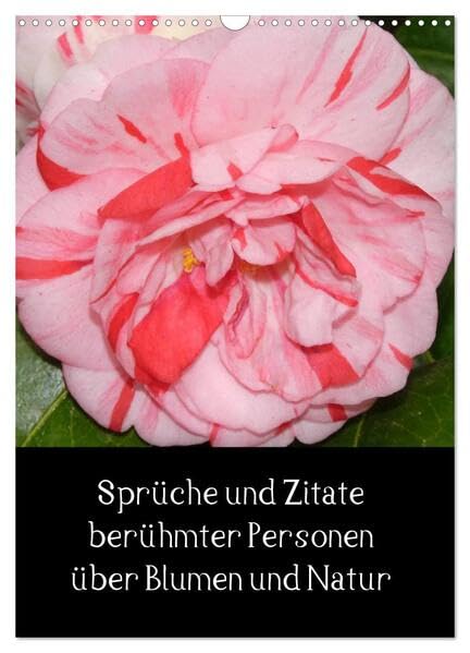Sprüche und Zitate berühmter Personen über Blumen und Natur (Wandkalender 2026 DIN A3 hoch), CALVENDO Monatskalender: Wandkalender mit Kamelienbildern ... Spruch unter jedem Bild (CALVENDO Natur) Photography