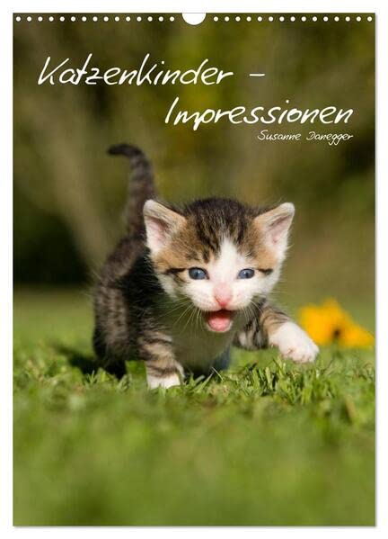 Katzenkinder - Impressionen (Wandkalender 2026 DIN A3 hoch), CALVENDO Monatskalender: Kleine Katzen ganz groß. (CALVENDO Tiere) Living & Furnishing