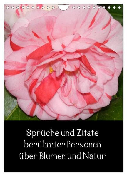 Sprüche und Zitate berühmter Personen über Blumen und Natur (Wandkalender 2026 DIN A4 hoch), CALVENDO Monatskalender: Wandkalender mit Kamelienbildern ... Spruch unter jedem Bild (CALVENDO Natur) Photography