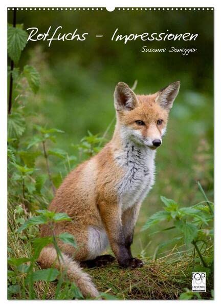 Rotfuchs - Impressionen (Wandkalender 2026 DIN A2 hoch), CALVENDO Monatskalender: Bilder aus dem Leben der Füchse. (CALVENDO Tiere) Film, Art & Culture