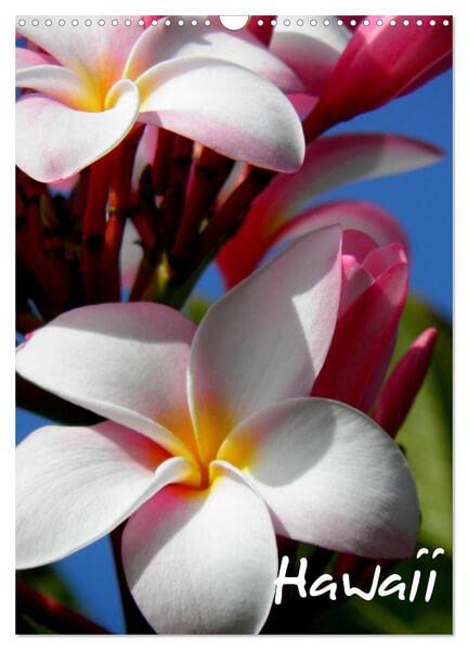 Hawaii (Wandkalender 2026 DIN A3 hoch), CALVENDO Monatskalender: Hawaii - die Schönheit der Natur (CALVENDO Orte) Business & Technology