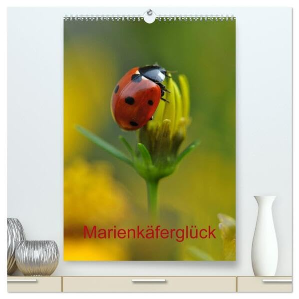 Marienkäferglück (hochwertiger Premium Wandkalender 2026 DIN A2 hoch), Kunstdruck in Hochglanz: Planung ist alles... manchmal aber auch Glückssache! (CALVENDO Tiere) Living & Furnishing