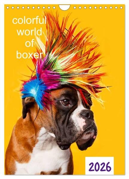 colorful world of boxer 2026 (Wandkalender 2026 DIN A4 hoch), CALVENDO Monatskalender: Jahreskalender 2015 Boxer (CALVENDO Tiere) Natural Sciences