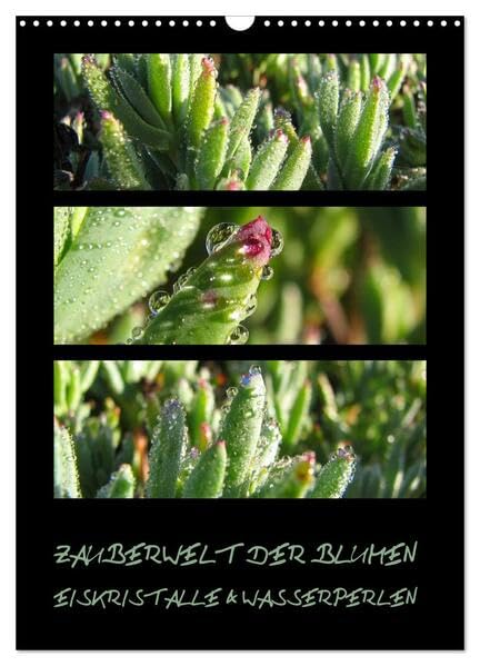 ZAUBERWELT DER BLUMEN - EISKRISTALLE & WASSERPERLEN (Wandkalender 2026 DIN A3 hoch), CALVENDO Monatskalender: Makroaufnahmen exotischer Pflanzen mit Eiskristallen und Wasserperlen (CALVENDO Natur) Photography