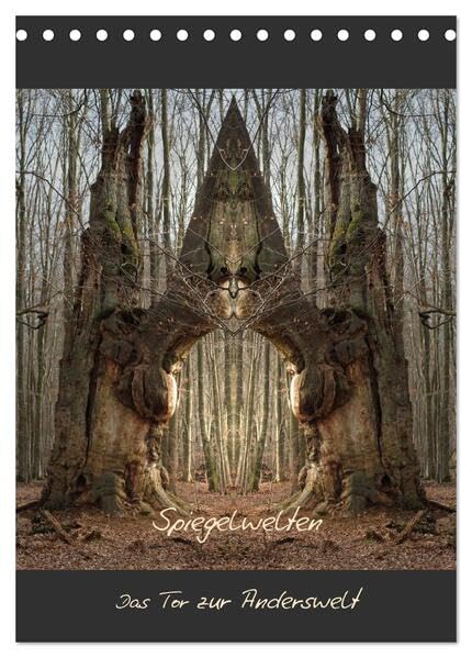Spiegelwelten - Das Tor zur Anderswelt (Tischkalender 2026 DIN A5 hoch), CALVENDO Monatskalender: Einblick in die multidimensionale Welt der Natur (CALVENDO Kunst) Film, Art & Culture