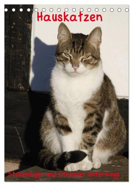Hauskatzen (Tischkalender 2026 DIN A5 hoch), CALVENDO Monatskalender: Stubentiger und Streuner unterwegs (CALVENDO Tiere) Natural Sciences