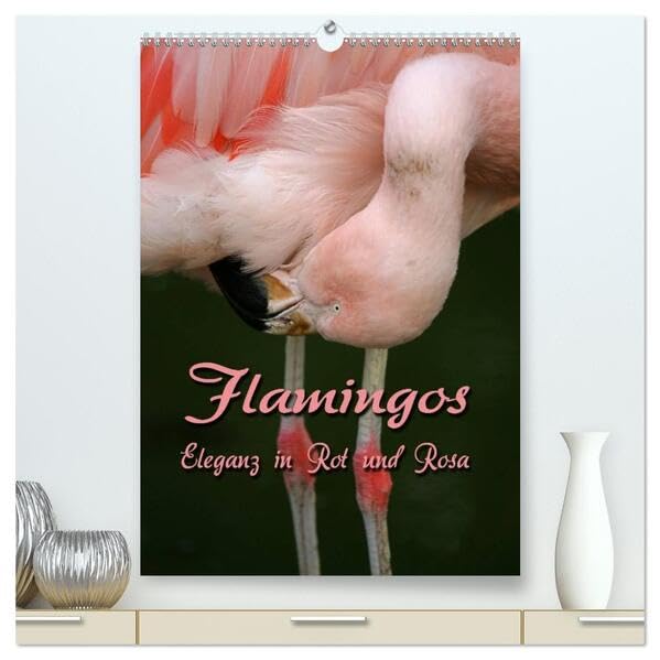 Flamingos - Eleganz in Rot und Rosa (hochwertiger Premium Wandkalender 2026 DIN A2 hoch), Kunstdruck in Hochglanz: Auf Augenhöhe mit Flamingos (CALVENDO Tiere) Natural Sciences