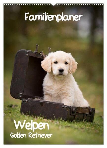 Familienplaner: Golden Retriever Welpen (Wandkalender 2026 DIN A2 hoch), CALVENDO Monatskalender: Dieser Familienplaner mit 5 Spalten wird Ihnen jeden ... Lächeln ins Gesicht zaubern. (CALVENDO Tiere) Natural Sciences