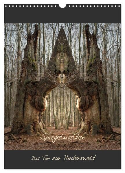 Spiegelwelten - Das Tor zur Anderswelt (Wandkalender 2026 DIN A3 hoch), CALVENDO Monatskalender: Einblick in die multidimensionale Welt der Natur (CALVENDO Kunst) Film, Art & Culture