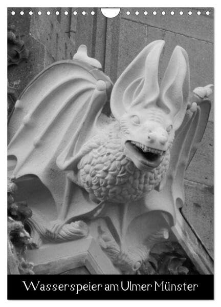Wasserspeier am Ulmer Münster (Wandkalender 2026 DIN A4 hoch), CALVENDO Monatskalender: Kunst am höchsten Kirchturm der Welt (CALVENDO Kunst) Film, Art & Culture